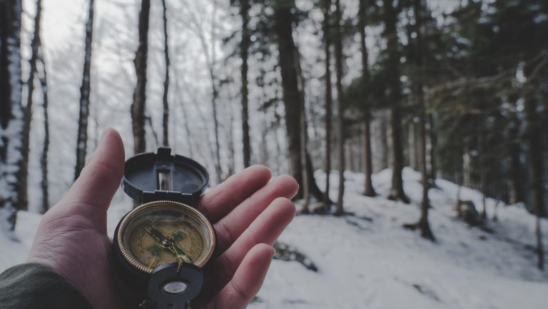 A hand holds a compass as they walk through a snow covered forest. This could represent finding an individual therapist in Pasadena, CA. Contact us to learn about individual therapy for relationship issues and other services. 95630 | 95687 | 95624