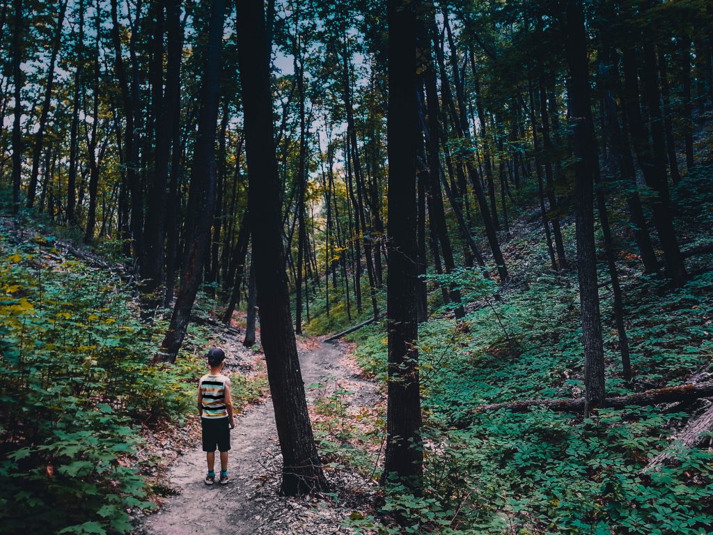 A person walks along a forest path. Therapy in Pasadena, CA can help you through online anxiety therapy in Pasadena, CA and other services. 95688